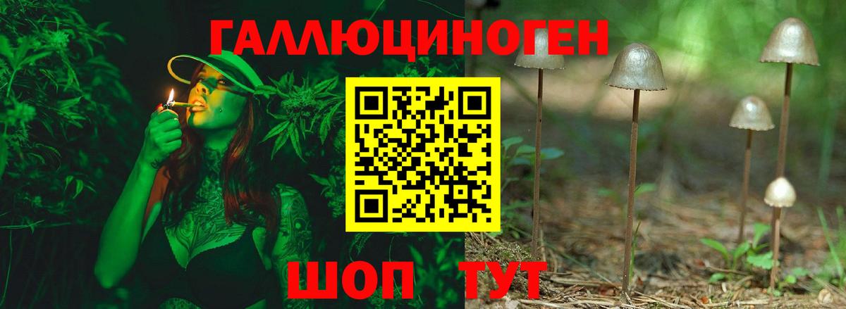 Псилоцибиновые грибы мухоморы Дмитров